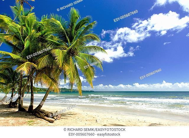 Rockly Bay, Tobago