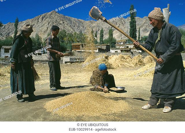 Farm workers sifting wheat in valley with stone buildings behind and mountain backdrop