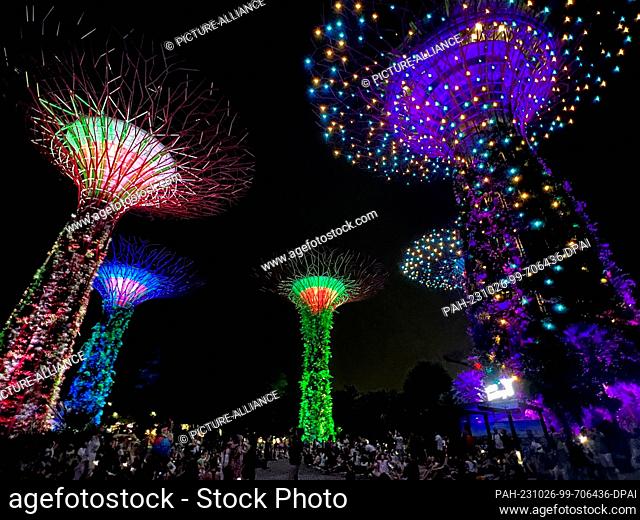 PRODUCTION - 01 October 2023, Singapore, Singapur: The Supertrees in the Gardens by the Bay. More than 160, 000 plants grow on the futuristic metal trees