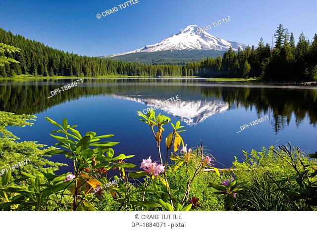 reflection of mount hood in trillium lake in the oregon cascades, oregon, united states of america