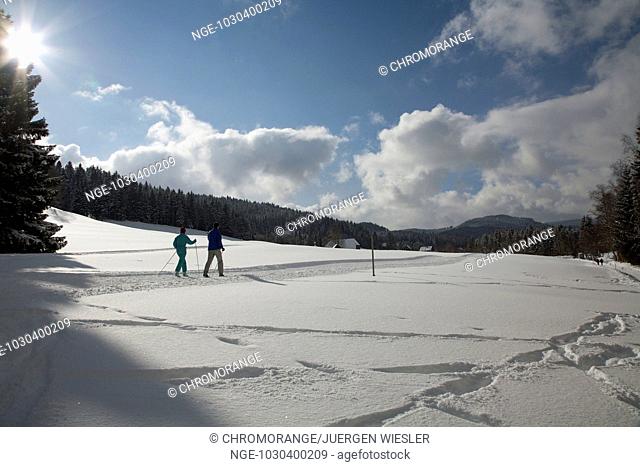 Cross country skiing in the snowy Black Forest
