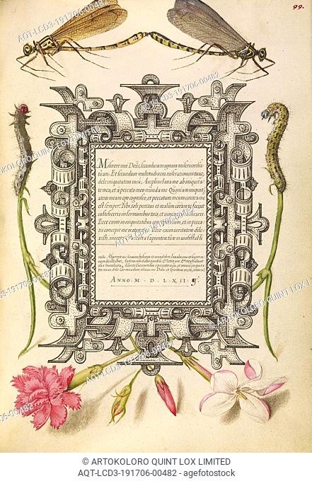 Damselflies, Caterpillars, Carnation, and Poet's Jasmine, Joris Hoefnagel (Flemish / Hungarian, 1542 - 1600), and Georg Bocskay (Hungarian, died 1575), Vienna