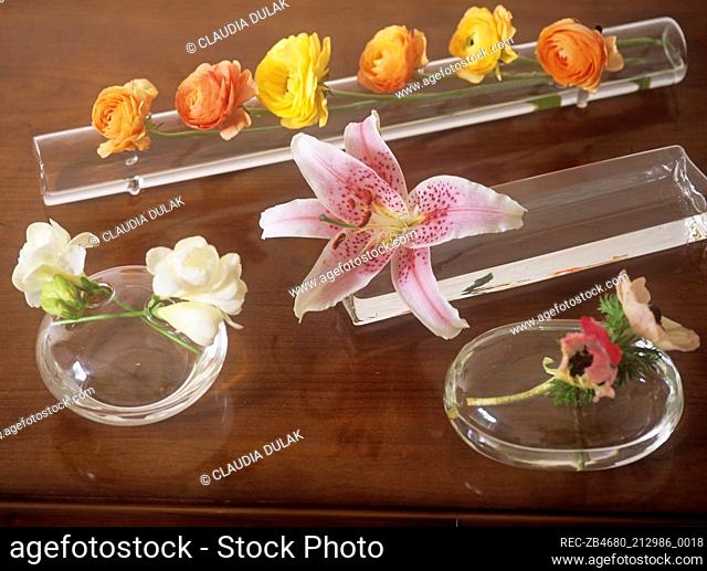 Contemporary glass vases in various shapes with oriental lily ranunculus and freesias