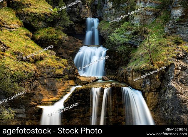 Cow escape waterfalls, Farchant, Bavaria, Germany