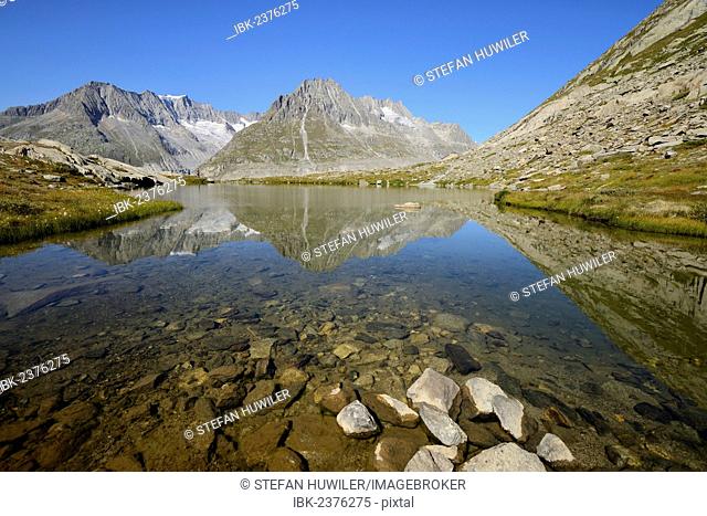 Mt. Aleschhorn and Mt. Olmenhorn are reflected in a small lake, Fiesch, Valais, Switzerland, Europe
