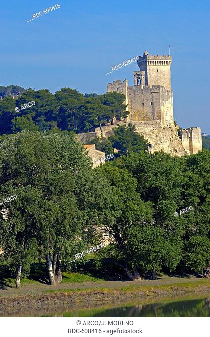 Beaucaire Castle, Bouches-du-Rhone, Gard departament, Provence, France