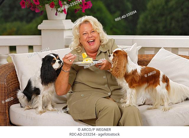 Woman and Cavalier King Charles Spaniel, tricolour and blenheim, eating cake