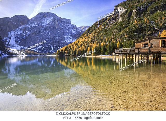 Colorful woods and peaks are reflected in Lake Braies Natural Park of Fanes Sennes Bolzano Trentino Alto Adige Italy Europe