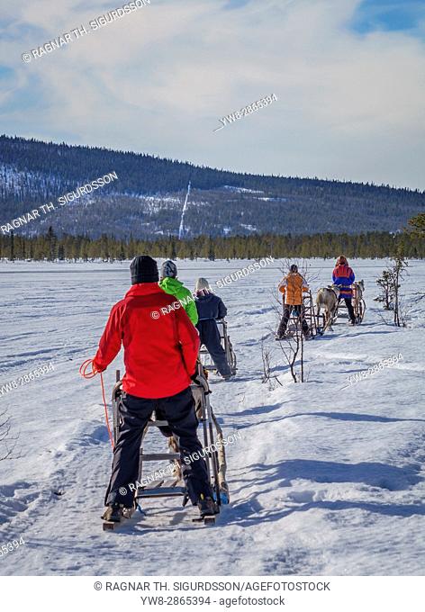 Reindeer Sledding, Swedish Lapland, Sweden