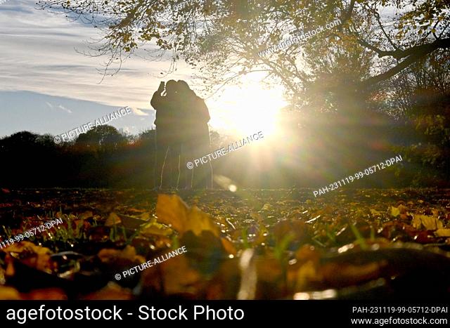 19 November 2023, Bavaria, Munich: Walkers take a selfie in the English Garden during sunset. Photo: Katrin Requadt/dpa. - Munich/Bavaria/Germany