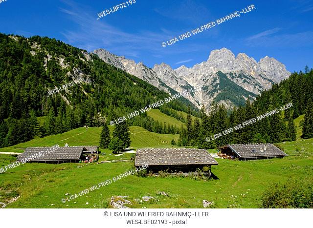 Germany, Bavaria, Berchtesgadener Land, Berchtesgaden Alps, Klausbach Valley, Bindalm, Muehlsturzhoerner mountain