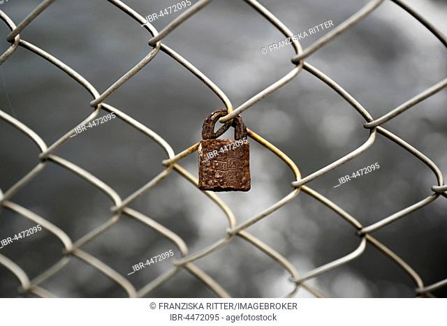 Rusty lock on chain-link fence, symbol, rusting, ephemeral love