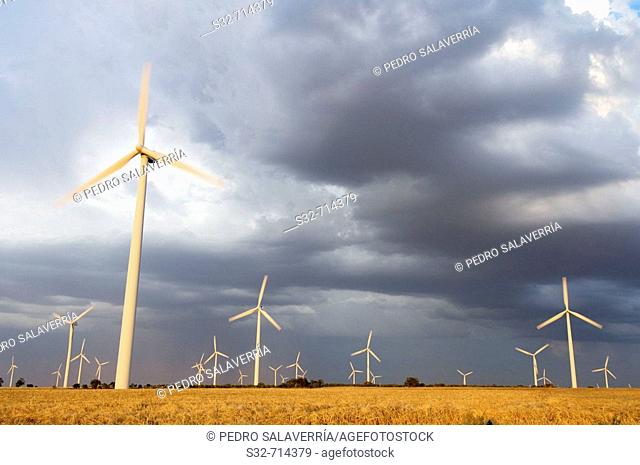 Wind turbines, La Muela. Zaragoza province, Aragon, Spain