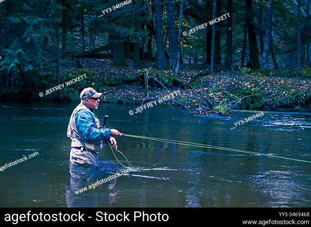 Fly fisherman casting for steelhead trout in the Pere Marquette River near Walhalla, Michigan, USA
