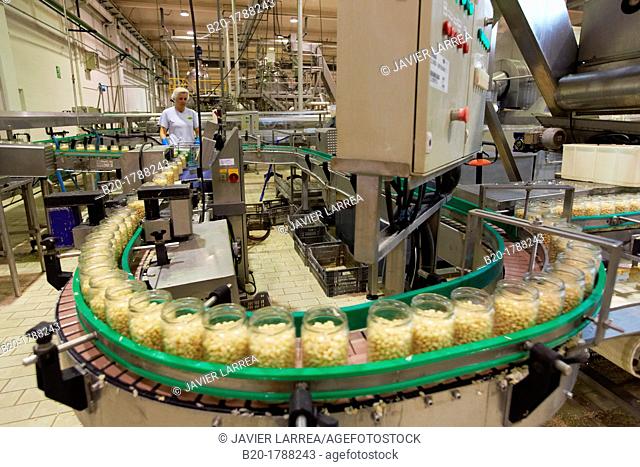 Bean bottling, Production line of canned vegetables and beans, Canning Industry, Agri-food, Logistics Center, Gutarra-Riberebro Group, Villafranca, Navarre
