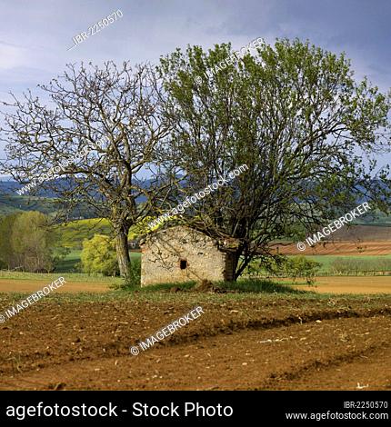 Old stone shed in Limagne, Auvergne, France, Europe
