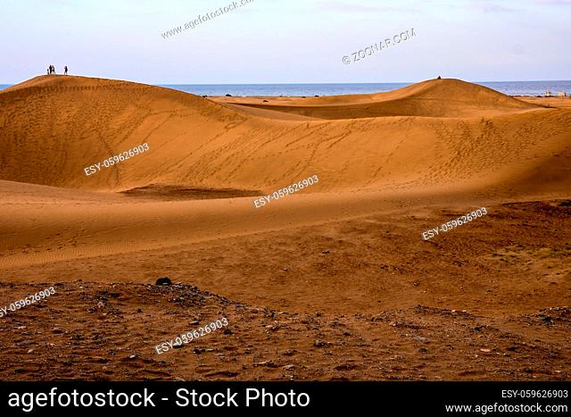 Desert with sand dunes in Maspalomas Gran Canaria Spain