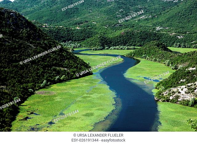 the river Rijeka Crnojevica at the west end of the Skadarsko Jezero Lake or Skadar Lake in Montenegro in the balkan in east europe