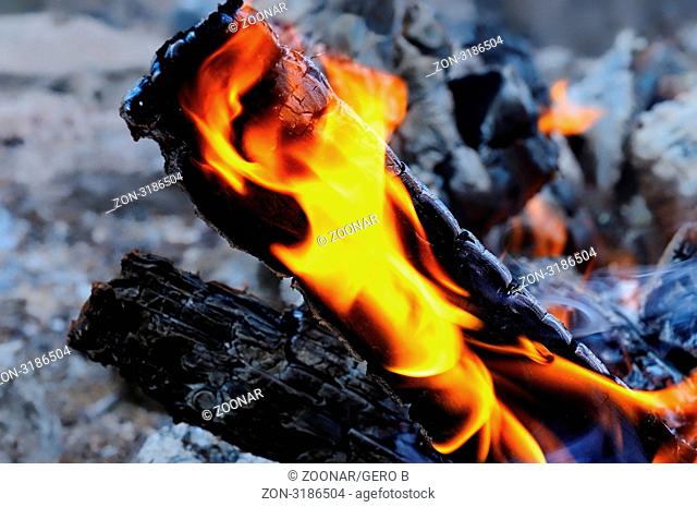 Flamme und Feuer, Flame and Fire