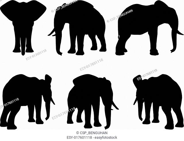 Set of editable vector silhouettes of African elephants in various poses