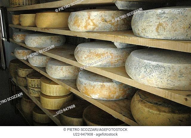 Asiago (Vicenza, Italy), Asiago cheese in a malga (cheese factory)