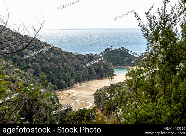 View of a bay in Abel Tasman National Park, New Zealand