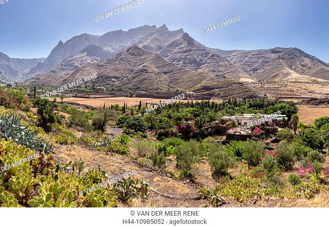 Barranco de Agaete valley in Gran Canaria, Canary Islands