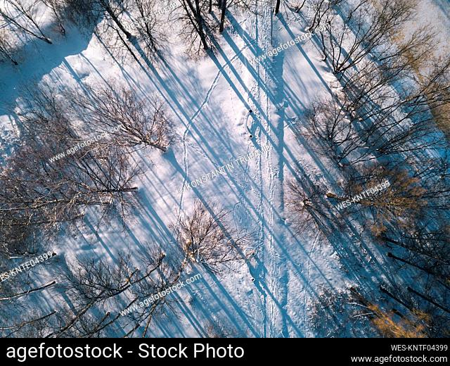 Russia, Leningrad Oblast, Tikhvin, Aerial view of¶ÿsnow-covered¶ÿroad surrounded by bare trees
