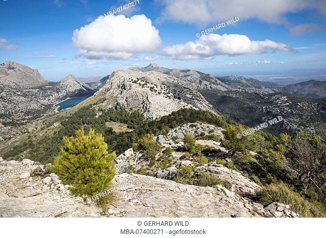 View from the top of the Puig de l'Ofre, left of the Cuber Reservoir, Mallorca, Balearic Islands, Spain