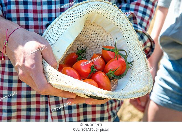 Cropped view of young man holding tomatoes in hat