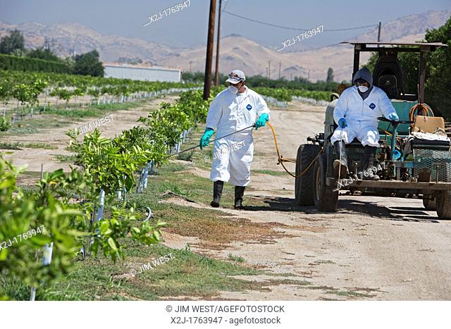 Woodlake, California - Workers in protective clothing apply pesticide to a field in the San Joaquin Valley