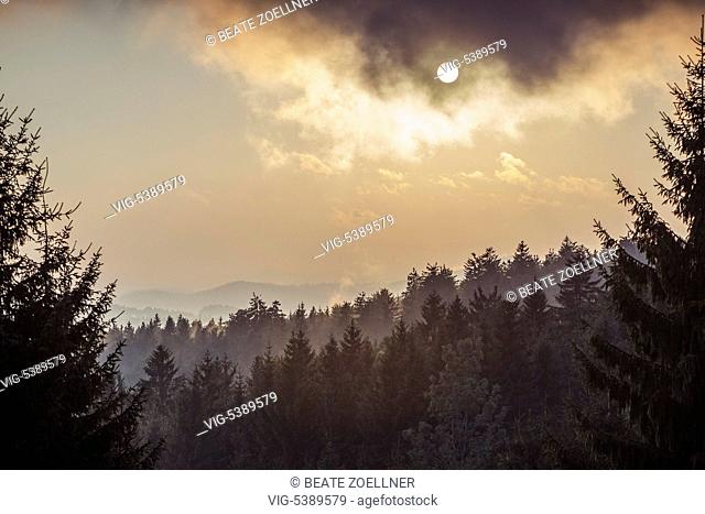 DEUTSCHLAND, ALTREICHENAU/BAYERISCHER WALD, 22.09.2012, Lichtstimmung im Bayerischen Wald, als sich nach einem Regenschauer die Sonne am frühen Abend wieder...