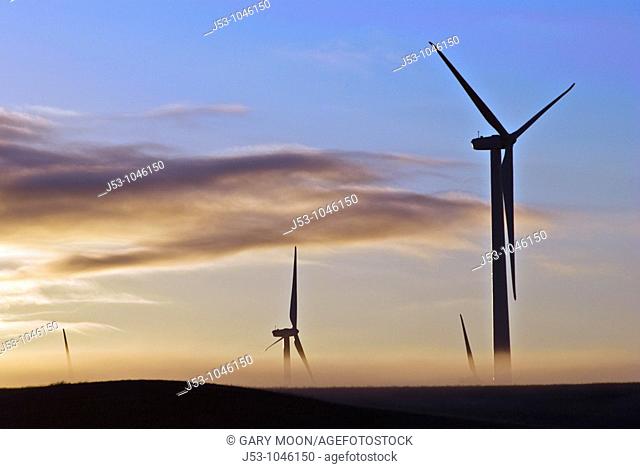Wind turbines silhouetted at dawn with ground fog, Judith Gap, Montana