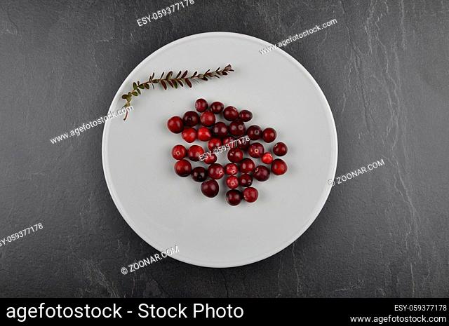 Cranberries auf Teller und Schiefer - Cranberries with plate on shale