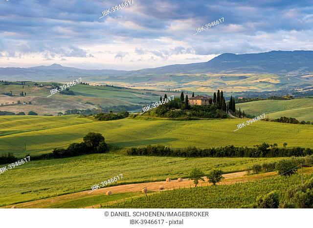 Landscape with hills and farm with cypress trees, morning light, UNESCO World Heritage Site Val d'Orcia, near San Quirico d'Orcia, Province of Siena, Tuscany