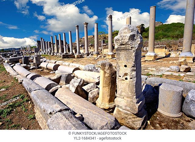 Ruins of the Roman Columned street which was lined with shops & stores  Perge Perga archaeological site, Turkey
