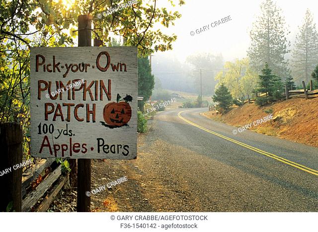 Road sign for pumpkin patch, Goyettes Ranch Apple Farm, Camino Eldorado County, California