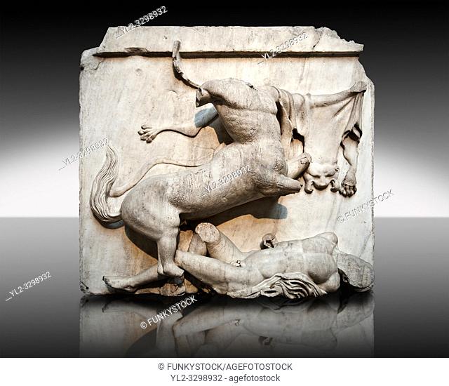 Sculpture of Lapiths and Centaurs battling from the Metope of the Parthenon on the Acropolis of Athens no XXVIII. Also known as the Elgin marbles