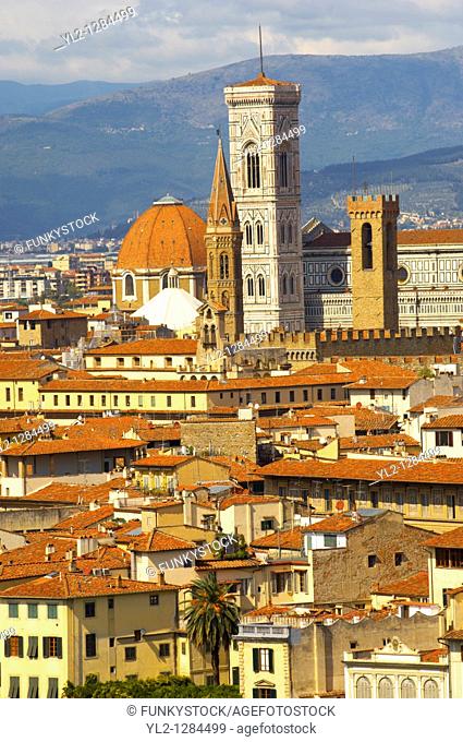 Palazzio Vecchio over rooftops - Florence Italy