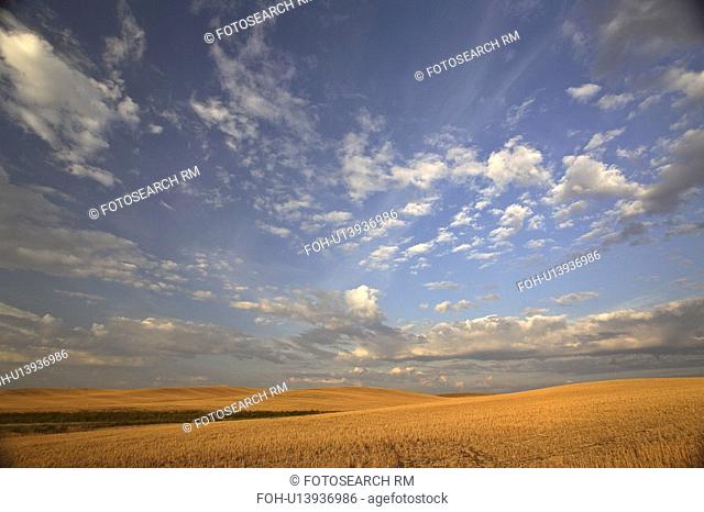 clouds, saskatchewan, scenic, prairies, beautiful