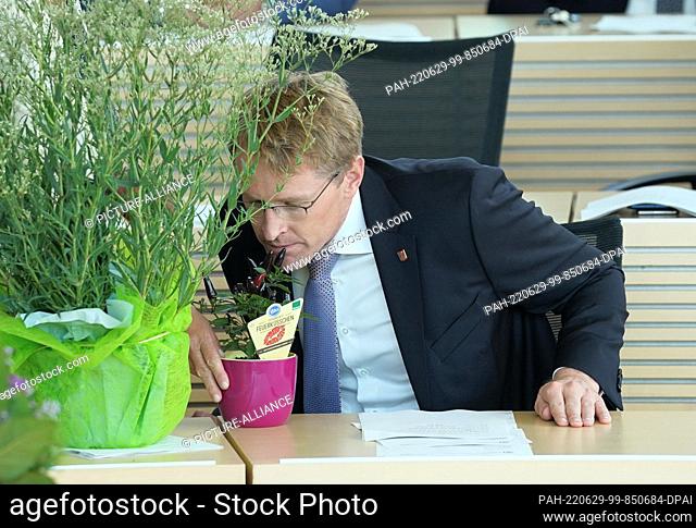 29 June 2022, Schleswig-Holstein, Kiel: Daniel Günther (CDU), Minister President of Schleswig-Holstein, smells a chile plant called hot fire kiss (Capsicum...