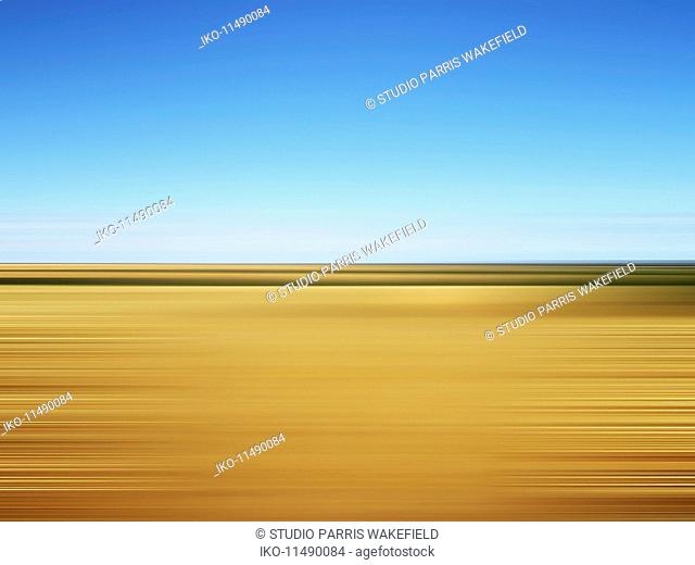 Wheat field with flat horizon in blurred motion