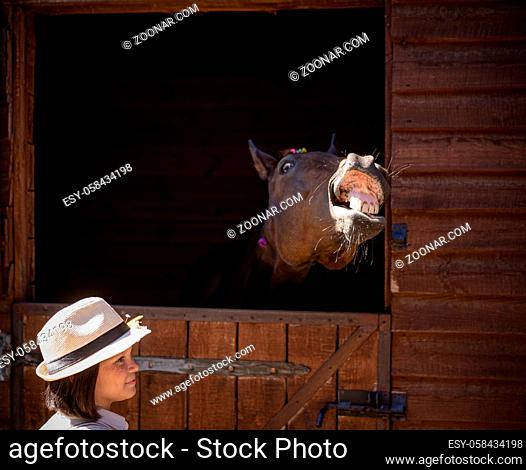 Charming young girl in vintage clothes standing with her brown horse sticking out head of the barn the horse happy seeing its human friend