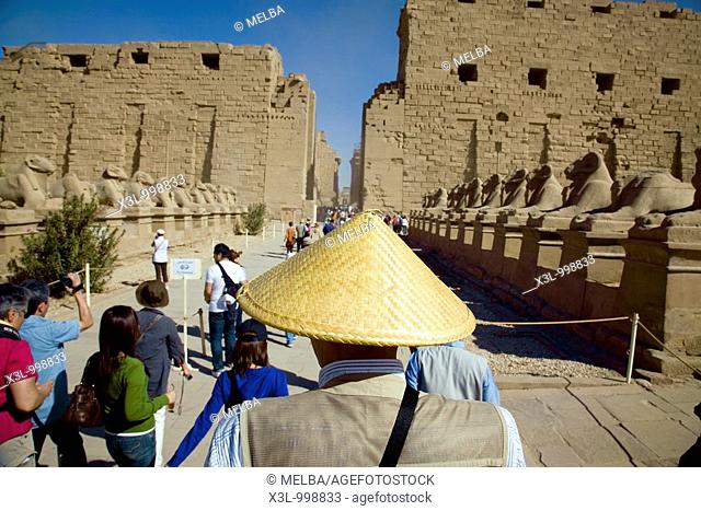 Karnak temple  Luxor  Egypt