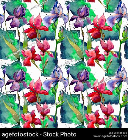 Wildflower iris flower pattern in a watercolor style. Full name of the plant: iris. Aquarelle wild flower for background, texture, wrapper pattern