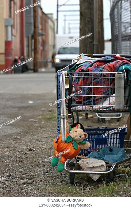 homeless shopping cart