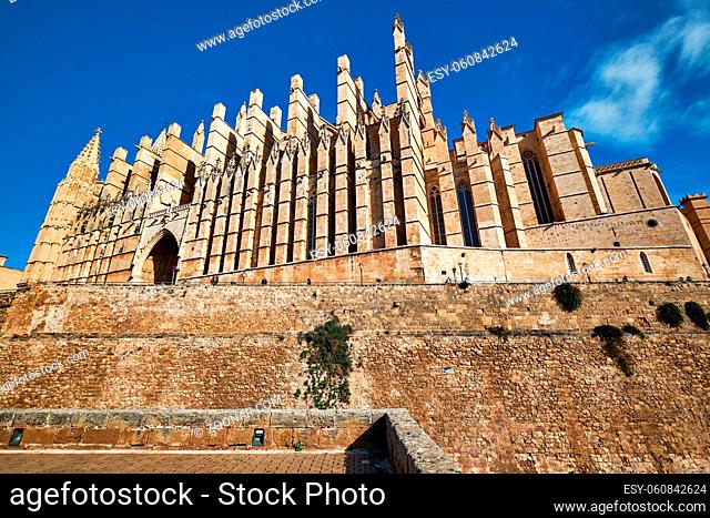 Bottom view exterior of Cathedral La Seu famous ancient tourist attraction in Palma de Mallorca, symbol of city, largest Gothic church most valuable buildings...