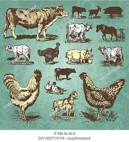 Farm animals vintage set (vector)