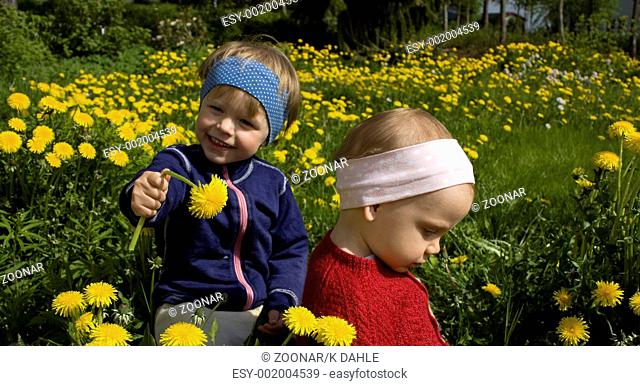 Children picking flowers