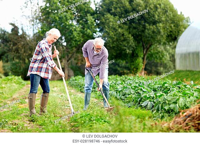 farming, gardening, agriculture and people concept - senior couple with shovels at garden or farm
